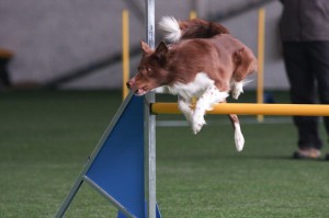 blaze-jumping-2 Blaze Jumping!